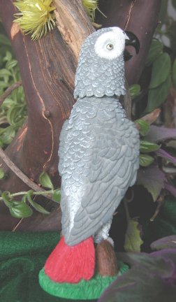 A larger photo of the Congo African Grey Bobblebird